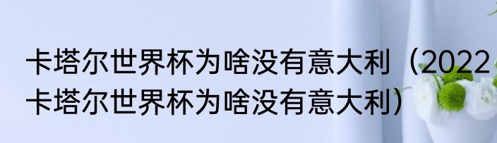 卡塔尔世界杯为啥没有意大利（2022卡塔尔世界杯为啥没有意大利）