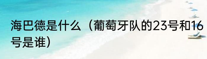 海巴德是什么（葡萄牙队的23号和16号是谁）