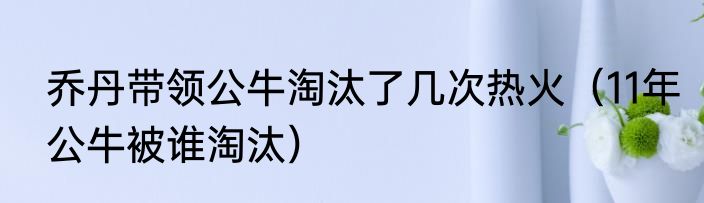 乔丹带领公牛淘汰了几次热火（11年公牛被谁淘汰）