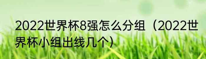 2022世界杯8强怎么分组（2022世界杯小组出线几个）