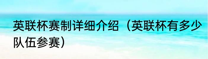 英联杯赛制详细介绍（英联杯有多少队伍参赛）