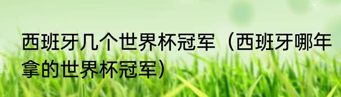 西班牙几个世界杯冠军（西班牙哪年拿的世界杯冠军）