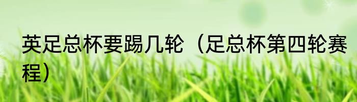 英足总杯要踢几轮（足总杯第四轮赛程）