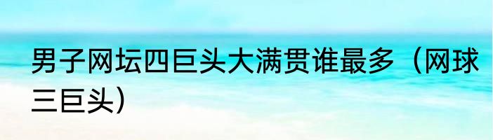 男子网坛四巨头大满贯谁最多（网球三巨头）