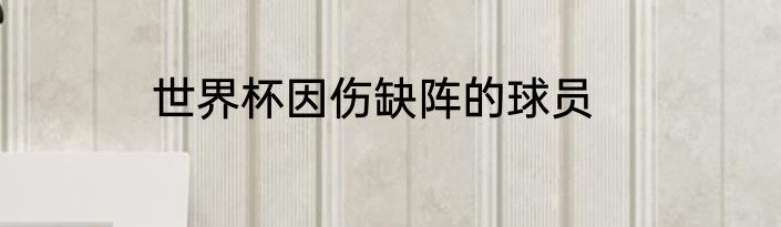 世界杯因伤缺阵的球员