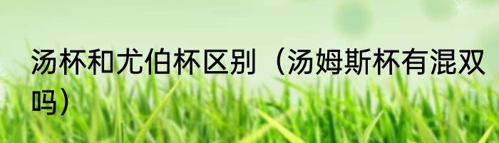 汤杯和尤伯杯区别（汤姆斯杯有混双吗）