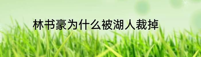 林书豪为什么被湖人裁掉