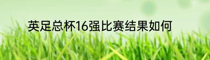 英足总杯16强比赛结果如何