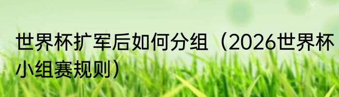 世界杯扩军后如何分组（2026世界杯小组赛规则）