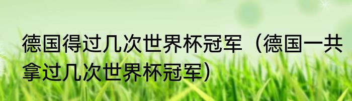 德国得过几次世界杯冠军（德国一共拿过几次世界杯冠军）