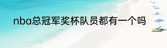 nba总冠军奖杯队员都有一个吗