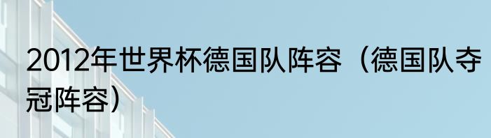 2012年世界杯德国队阵容（德国队夺冠阵容）