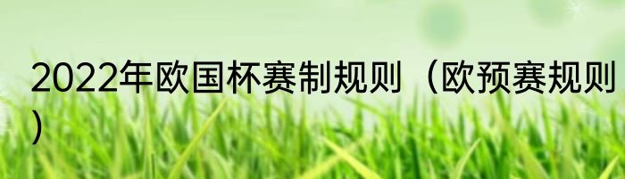 2022年欧国杯赛制规则（欧预赛规则）