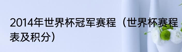 2014年世界杯冠军赛程（世界杯赛程表及积分）