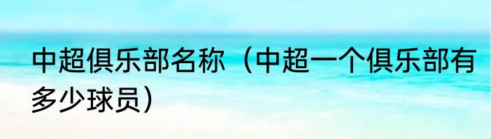 中超俱乐部名称（中超一个俱乐部有多少球员）