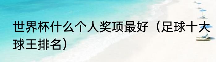 世界杯什么个人奖项最好（足球十大球王排名）
