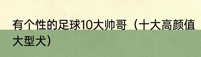 有个性的足球10大帅哥（十大高颜值大型犬）