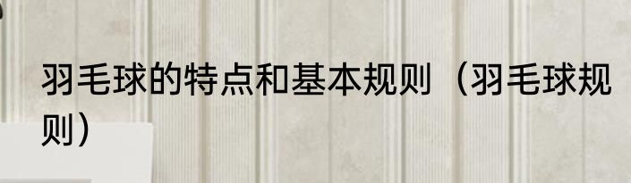 羽毛球的特点和基本规则（羽毛球规则）
