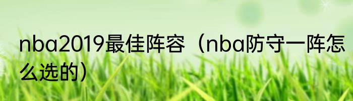 nba2019最佳阵容（nba防守一阵怎么选的）