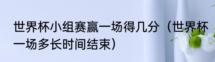 世界杯小组赛赢一场得几分（世界杯一场多长时间结束）