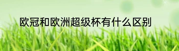 欧冠和欧洲超级杯有什么区别