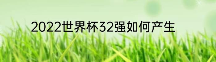 2022世界杯32强如何产生