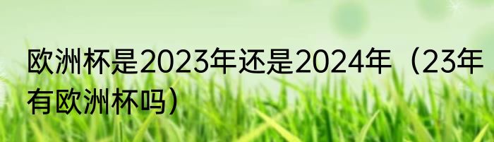 欧洲杯是2023年还是2024年（23年有欧洲杯吗）