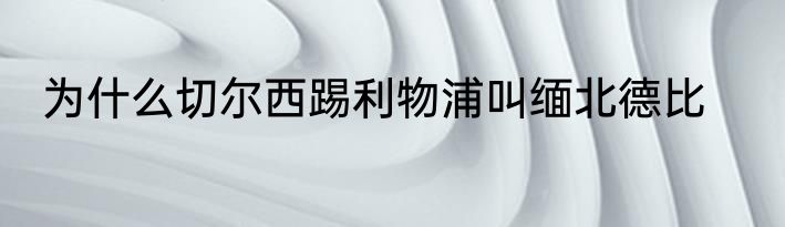 为什么切尔西踢利物浦叫缅北德比