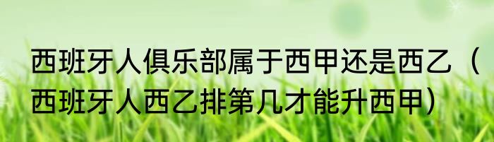 西班牙人俱乐部属于西甲还是西乙（西班牙人西乙排第几才能升西甲）