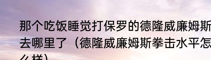 那个吃饭睡觉打保罗的德隆威廉姆斯，去哪里了（德隆威廉姆斯拳击水平怎么样）