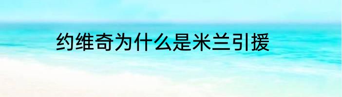 约维奇为什么是米兰引援