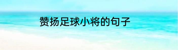 赞扬足球小将的句子