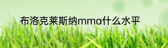 布洛克莱斯纳mma什么水平