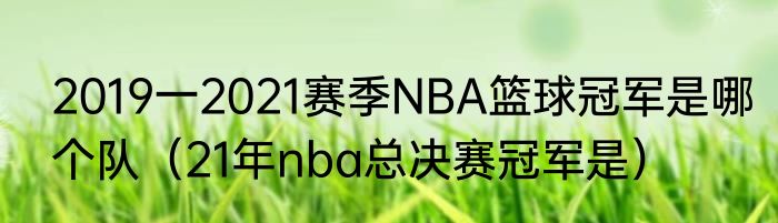 2019一2021赛季NBA篮球冠军是哪个队（21年nba总决赛冠军是）