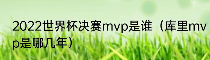 2022世界杯决赛mvp是谁（库里mvp是哪几年）