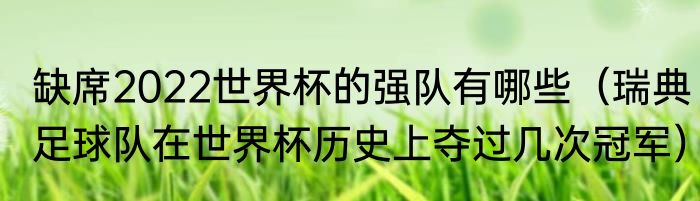 缺席2022世界杯的强队有哪些（瑞典足球队在世界杯历史上夺过几次冠军）