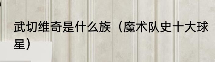 武切维奇是什么族（魔术队史十大球星）