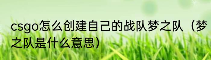 csgo怎么创建自己的战队梦之队（梦之队是什么意思）