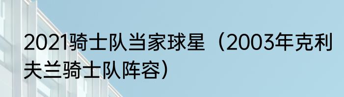 2021骑士队当家球星（2003年克利夫兰骑士队阵容）