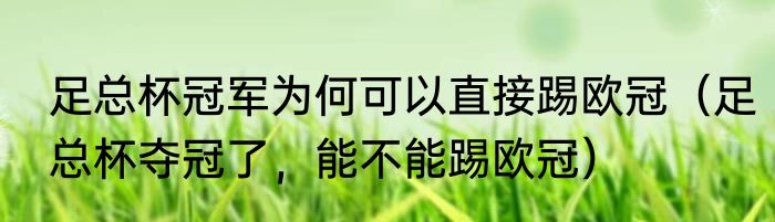 足总杯冠军为何可以直接踢欧冠（足总杯夺冠了，能不能踢欧冠）