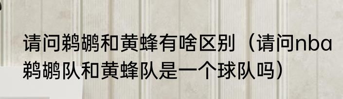 请问鹈鹕和黄蜂有啥区别（请问nba鹈鹕队和黄蜂队是一个球队吗）