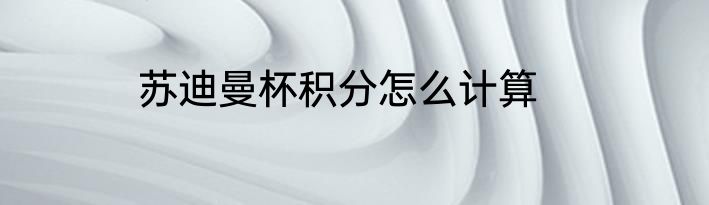 苏迪曼杯积分怎么计算