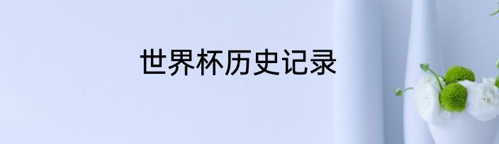 世界杯历史记录