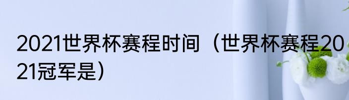 2021世界杯赛程时间（世界杯赛程2021冠军是）