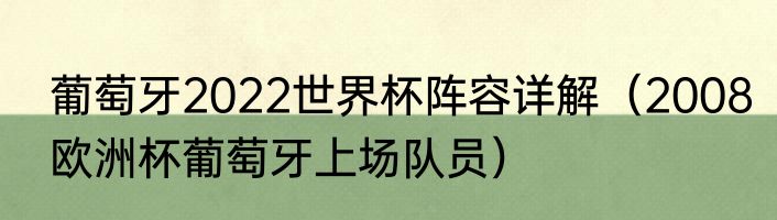 葡萄牙2022世界杯阵容详解（2008欧洲杯葡萄牙上场队员）