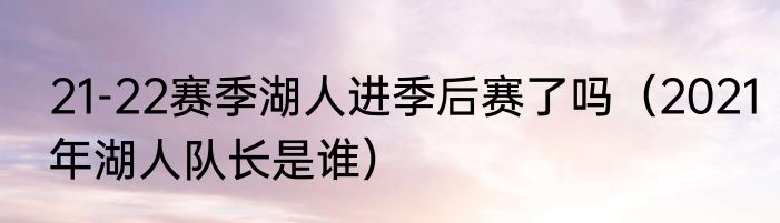 21-22赛季湖人进季后赛了吗（2021年湖人队长是谁）