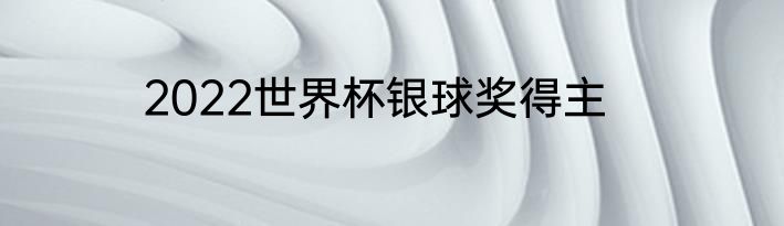 2022世界杯银球奖得主