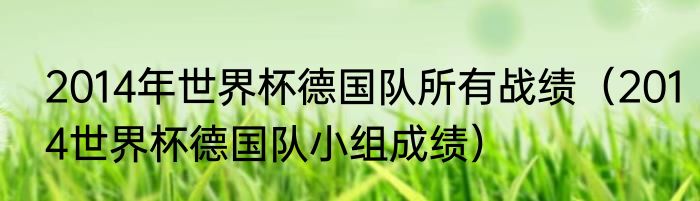 2014年世界杯德国队所有战绩（2014世界杯德国队小组成绩）
