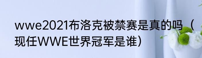 wwe2021布洛克被禁赛是真的吗（现任WWE世界冠军是谁）