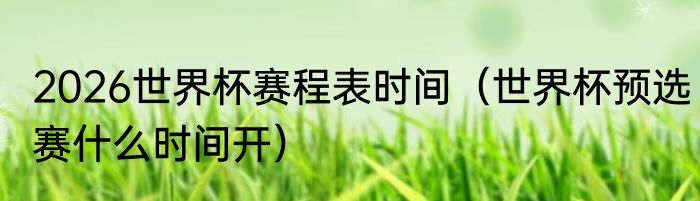 2026世界杯赛程表时间（世界杯预选赛什么时间开）